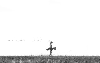 Freedom