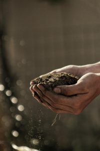 Dirt-stained