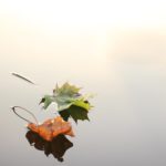 Change's Constant