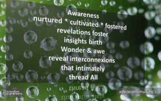 Thread