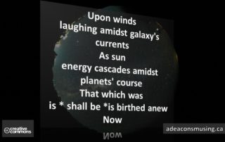 Birthed Anew