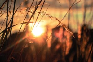 Light's Arrival