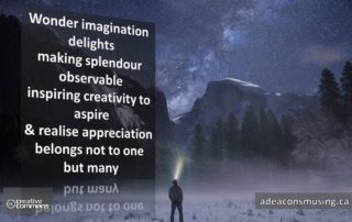 Imagination Delights