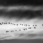 Community Resilience