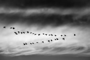 Community Resilience