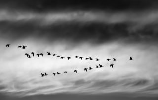 Community Resilience