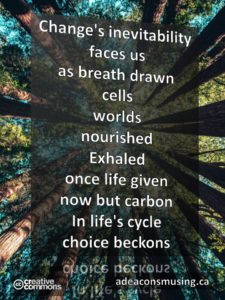 Choice Beckons
