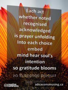 Gratitude Blooms