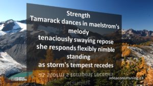 Tempest Recedes