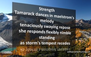 Tempest Recedes