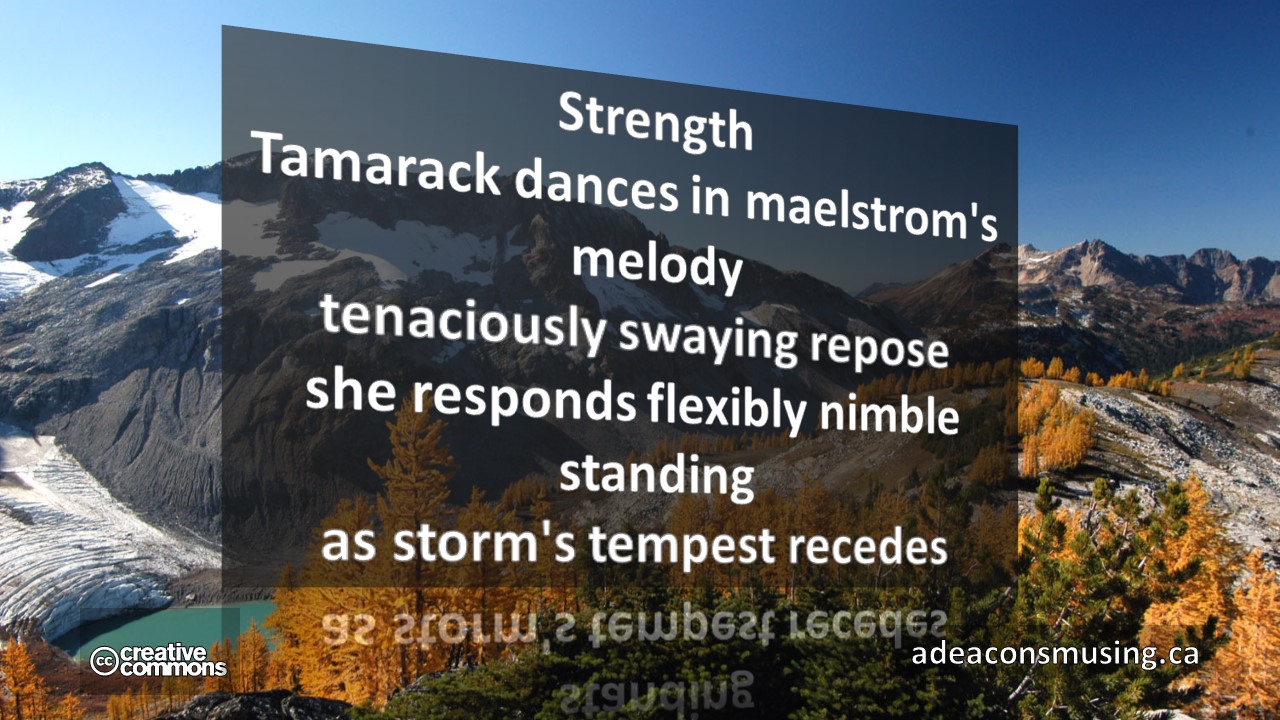 Tempest Recedes