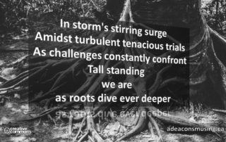 Roots Dive