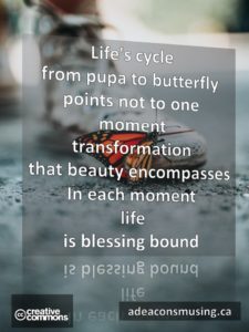 Blessing Bound