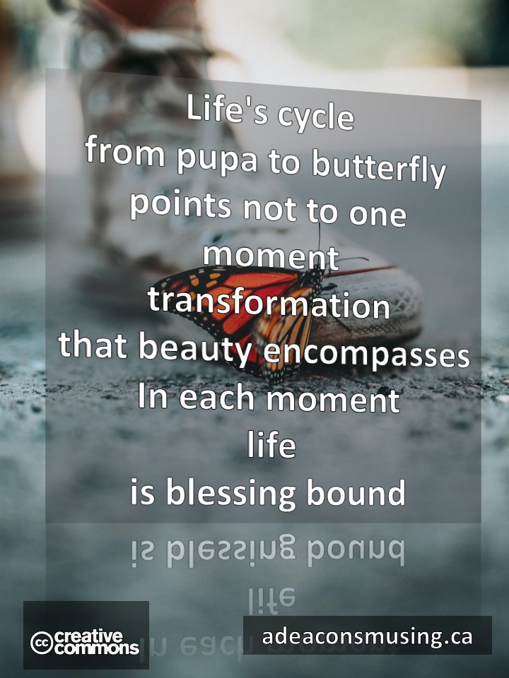 Blessing Bound