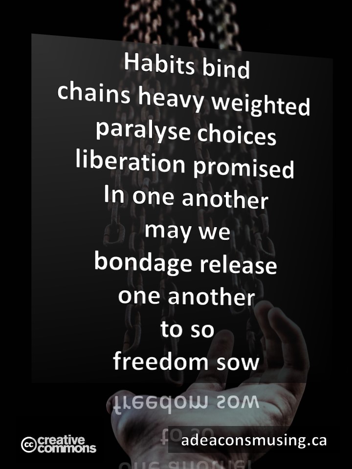 Freedom Sow
