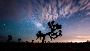 Imagination's Resilience