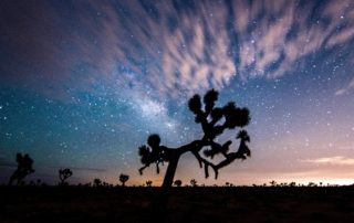 Imagination's Resilience