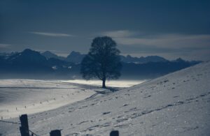 Silence's Lull