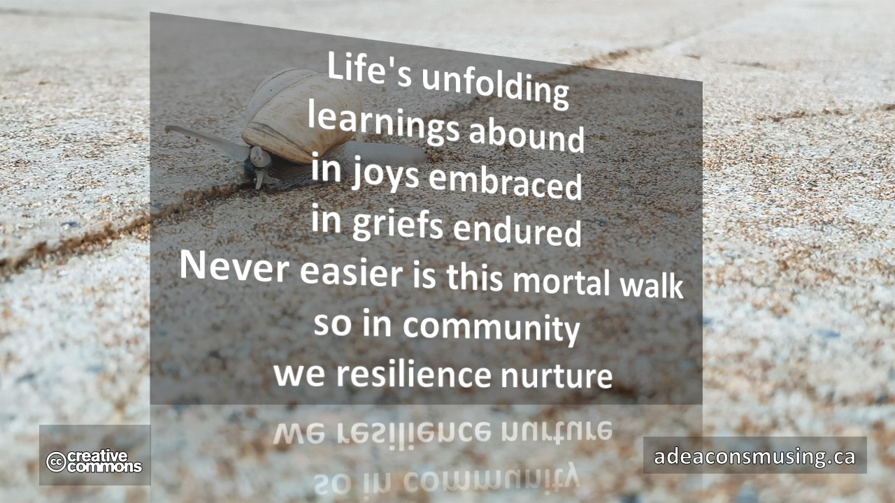 Resilience Nurture