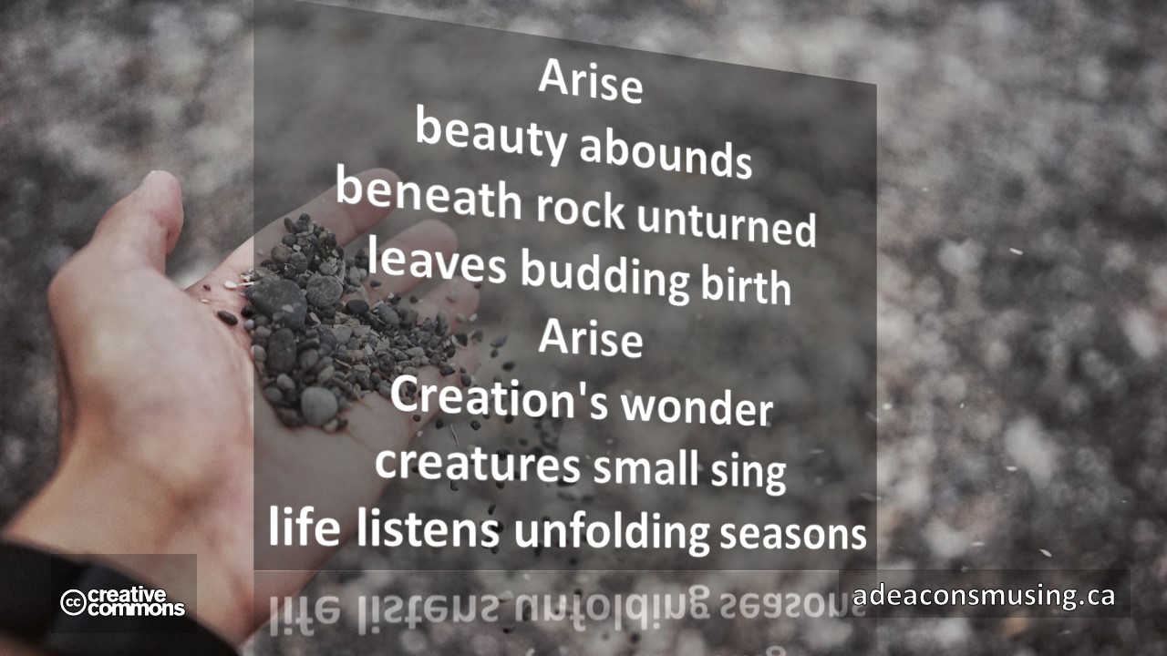 Unfolding Seasons