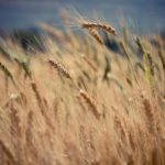 Success' Unfolding