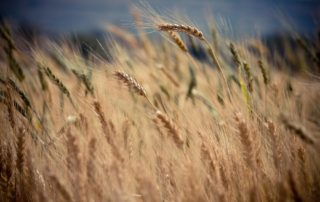 Success' Unfolding