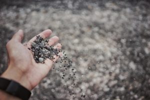 Unfolding Seasons