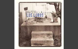 Los Lobos (River of Fools)