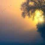 Dawning Awakening