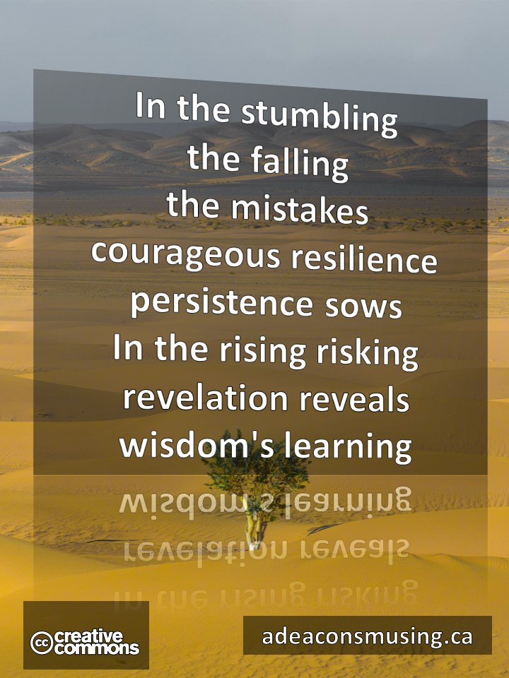 Wisdom's Learning