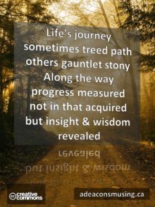 Insight & Wisdom