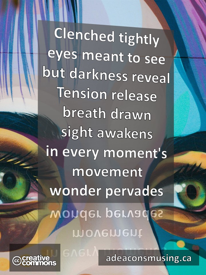 Wonder Pervades