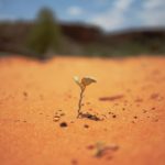 Determination