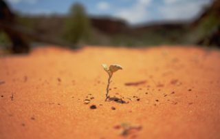 Determination