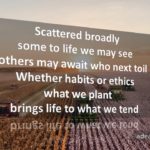 What We Tend