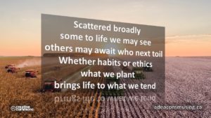 What We Tend