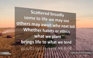 What We Tend