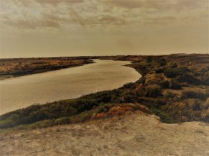The River Wanders