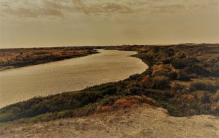 The River Wanders