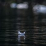 Spirit