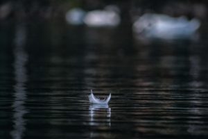 Spirit