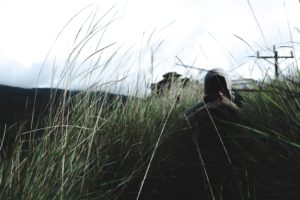 Fear