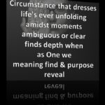 Purpose Reveal