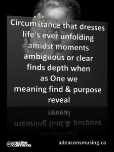 Purpose Reveal