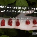 Charles Evans Hughes (1925)