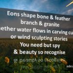 Beauty Recognise