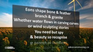 Beauty Recognise