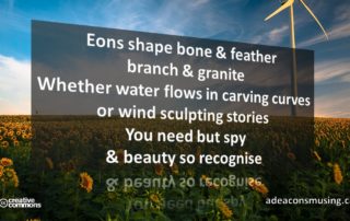 Beauty Recognise