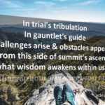 Wisdom Awakens