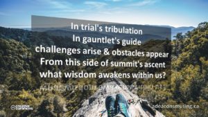Wisdom Awakens